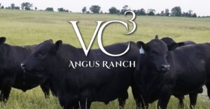 VC3 Angus Ranch